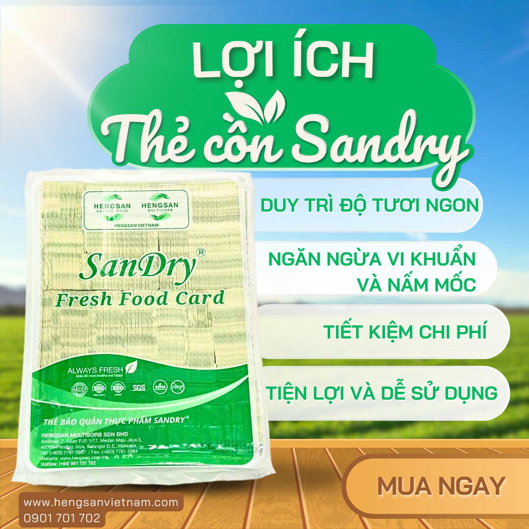 Lợi Ích Của Việc Bảo Quản Thực Phẩm Đúng Cách Với Thẻ Cồn Sandry